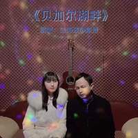打包安琪-贝加尔湖畔 Faded(中国好声音) 伴奏 无人声 伴奏 AI