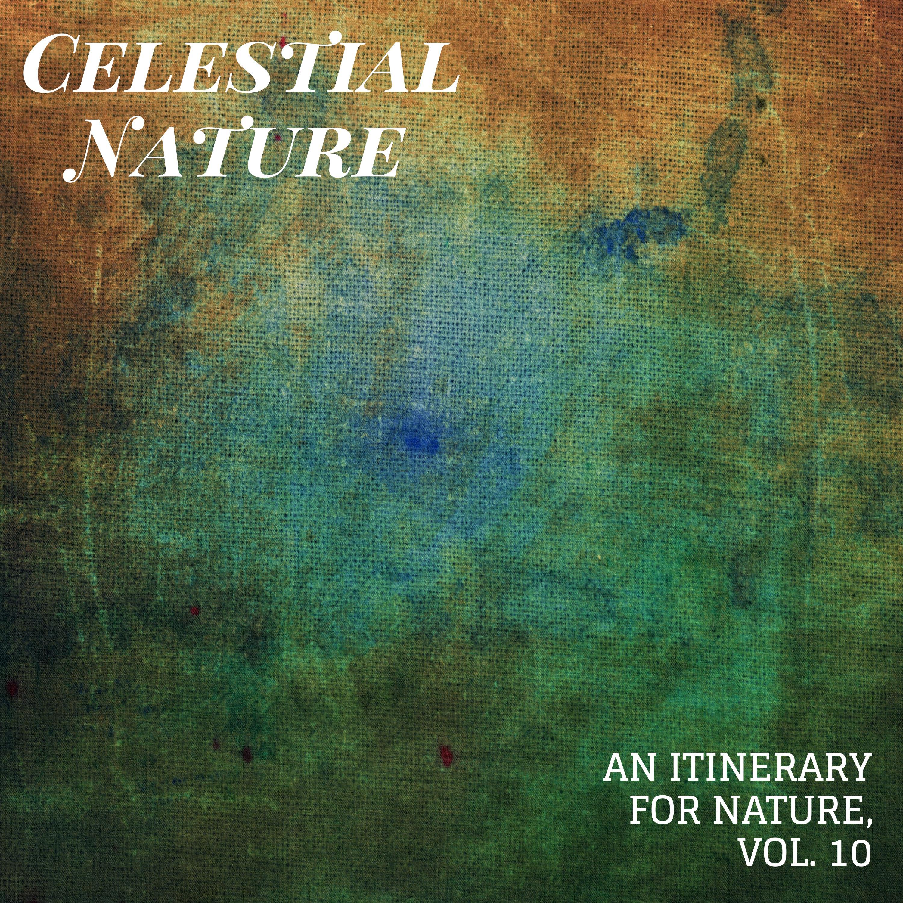 Celestial Nature - An Itinerary for Nature, Vol. 10