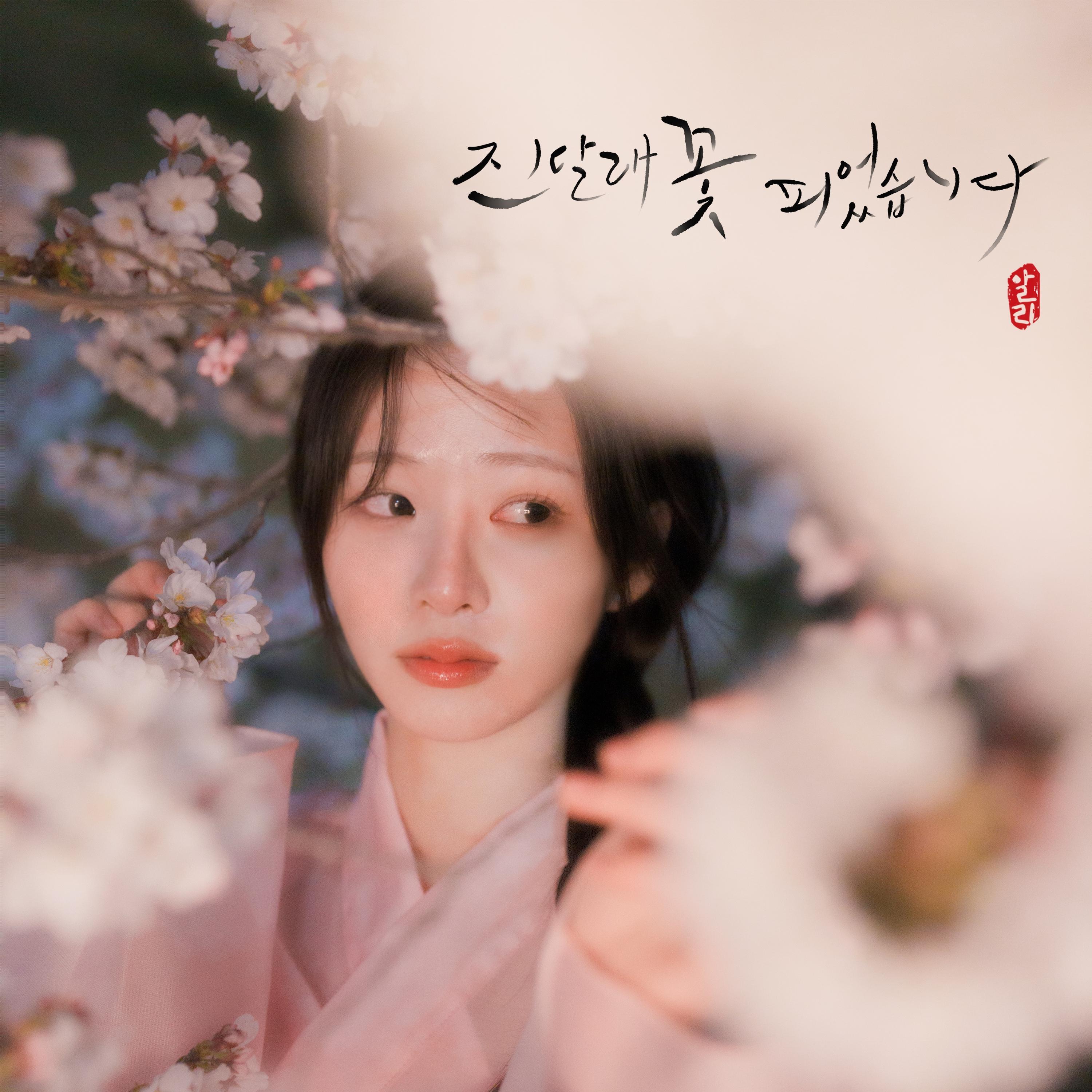 진달래꽃 피었습니다