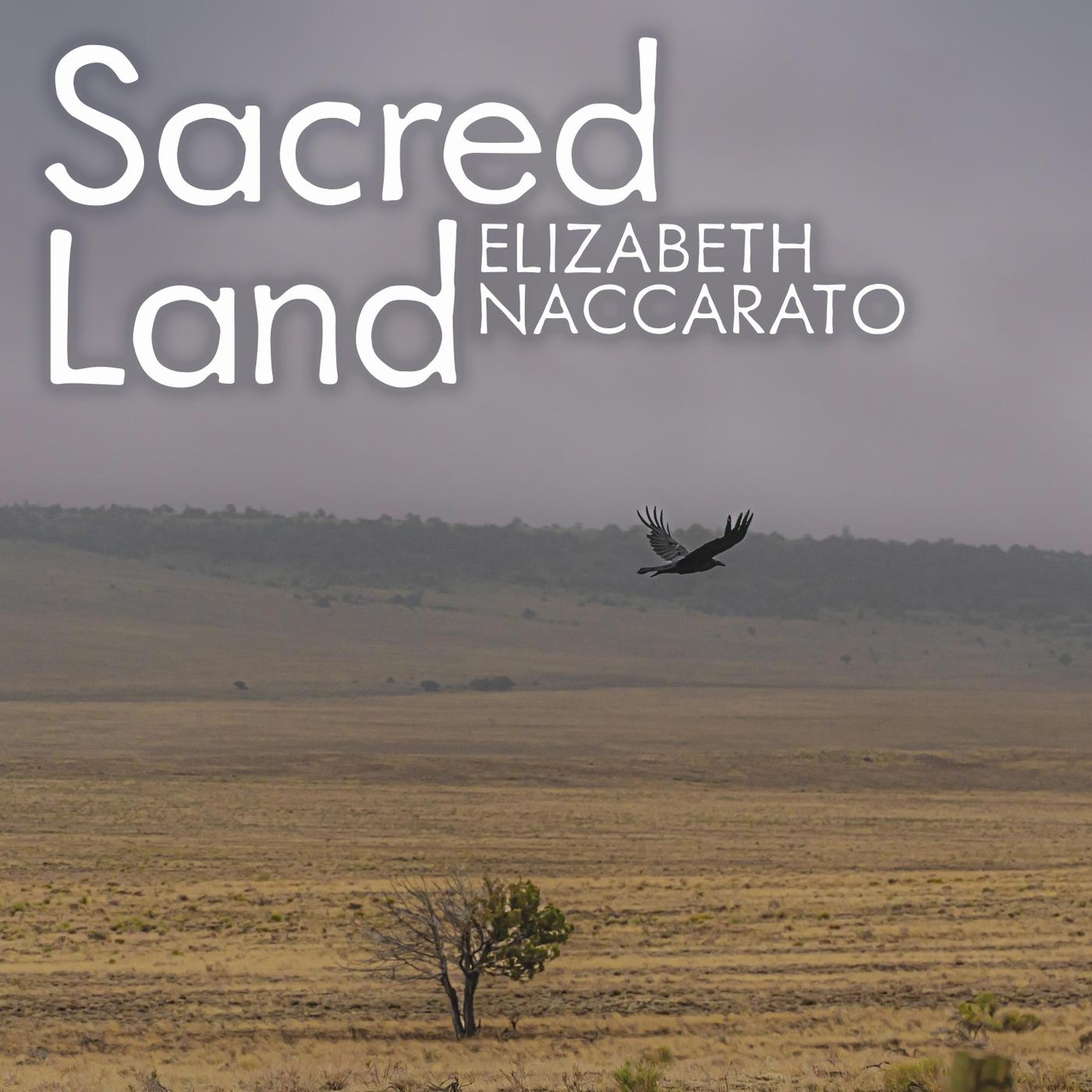 Sacred Land