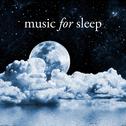 Music for Sleep专辑