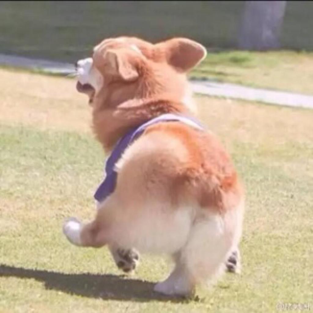 入耳就会迷上的歌库~！一定要听完