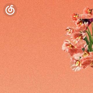 后迪斯科精选|从《s/easons》听起