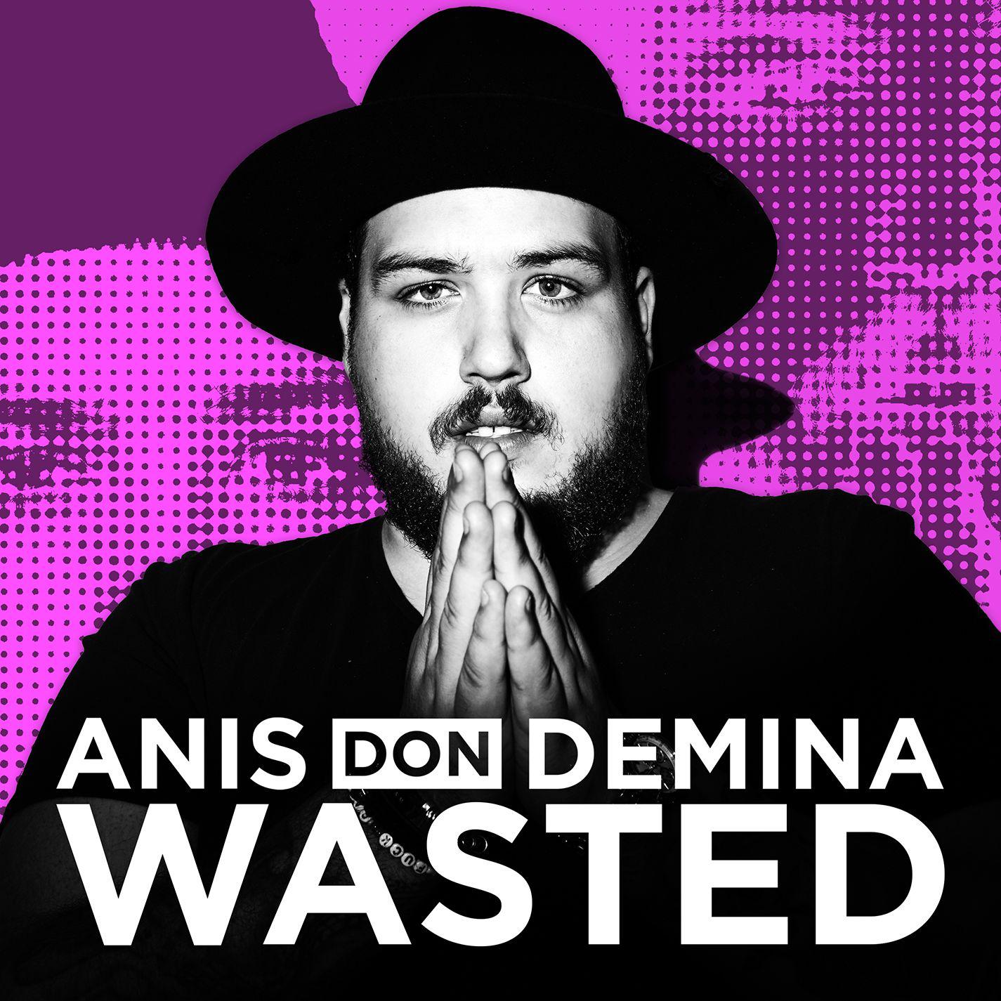 Anis Don Demina - Wasted