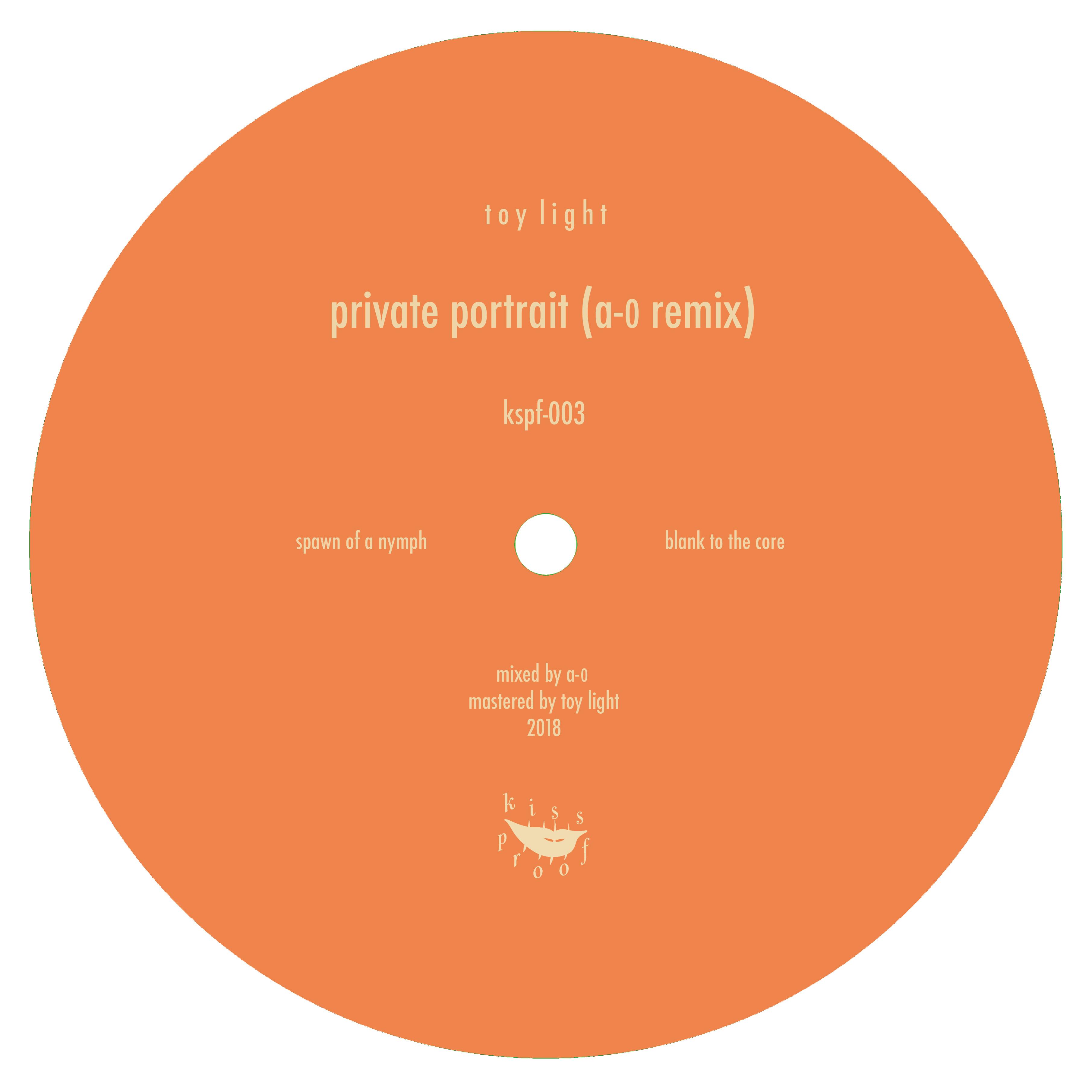 Private Portrait (A-0 Remix)