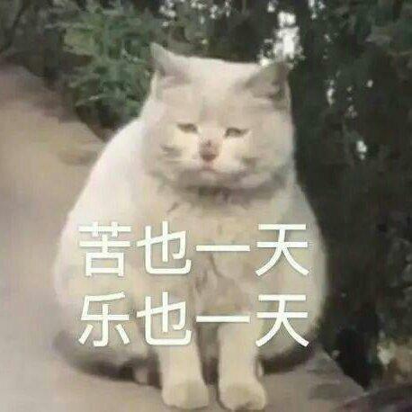 『中文学习歌单』.