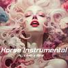 DJ AM - Horse (RinV x Vanh Instrumental)