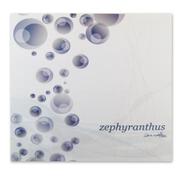 zephyranthus