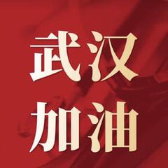 众志成城