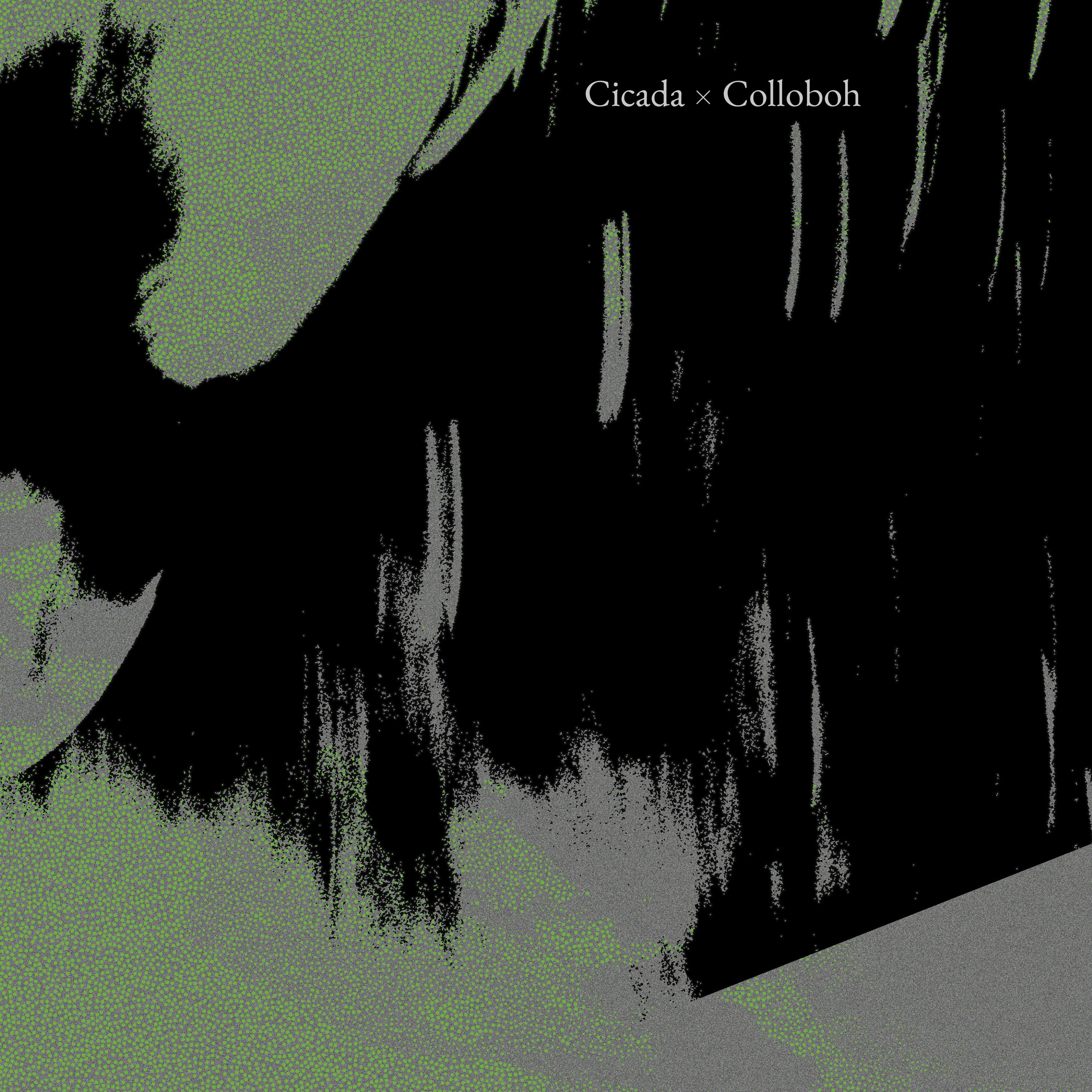 Embraced by Aoraki (Colloboh Version)