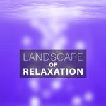 Landscape of Relaxation – Nature Sounds, Pure Nature, Natural Chill, Rest, Deep Sounds专辑