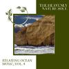 Heavenly Bless Nature Sounds - Ocean Diversion