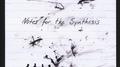 Notes for the Synthesis专辑