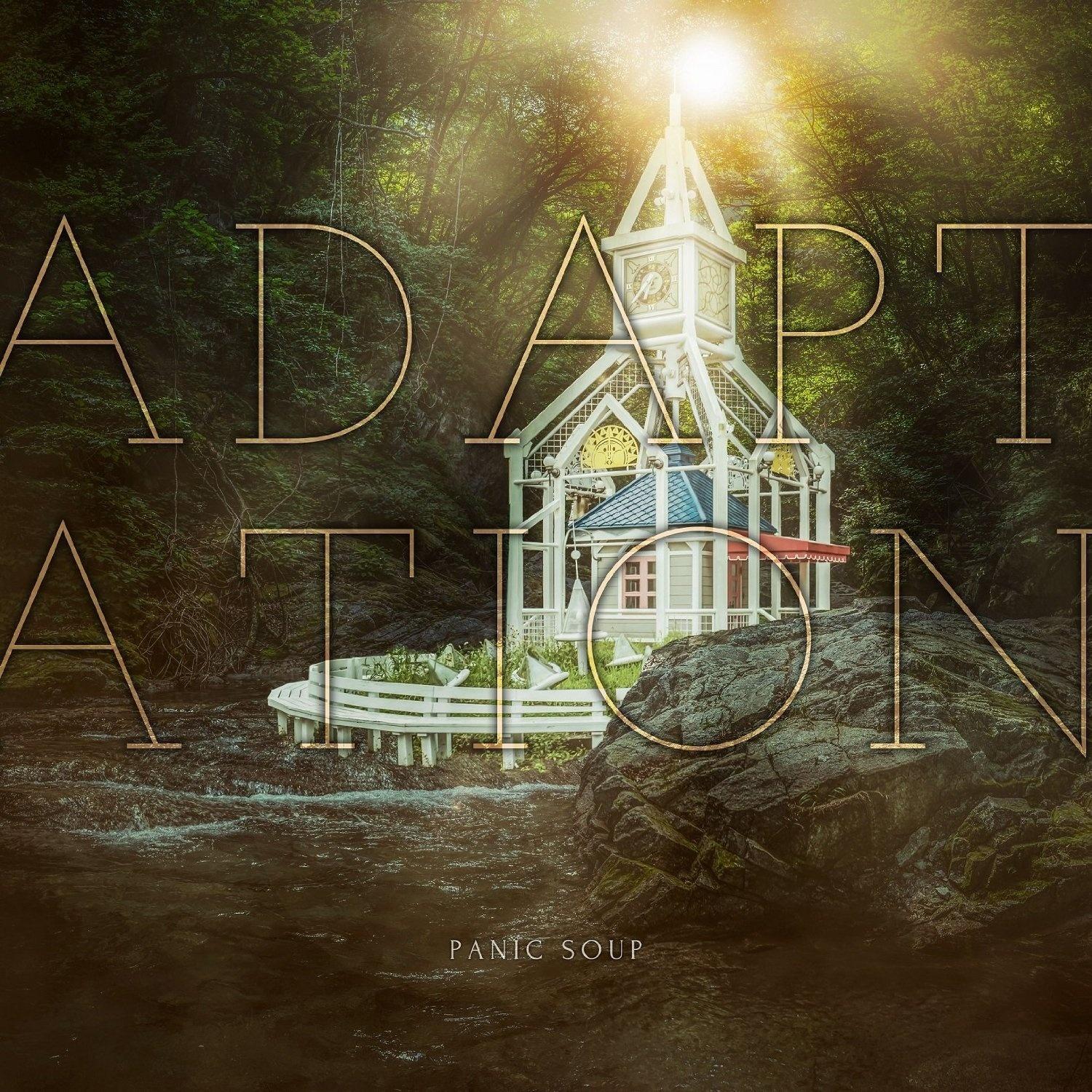 Adaptation