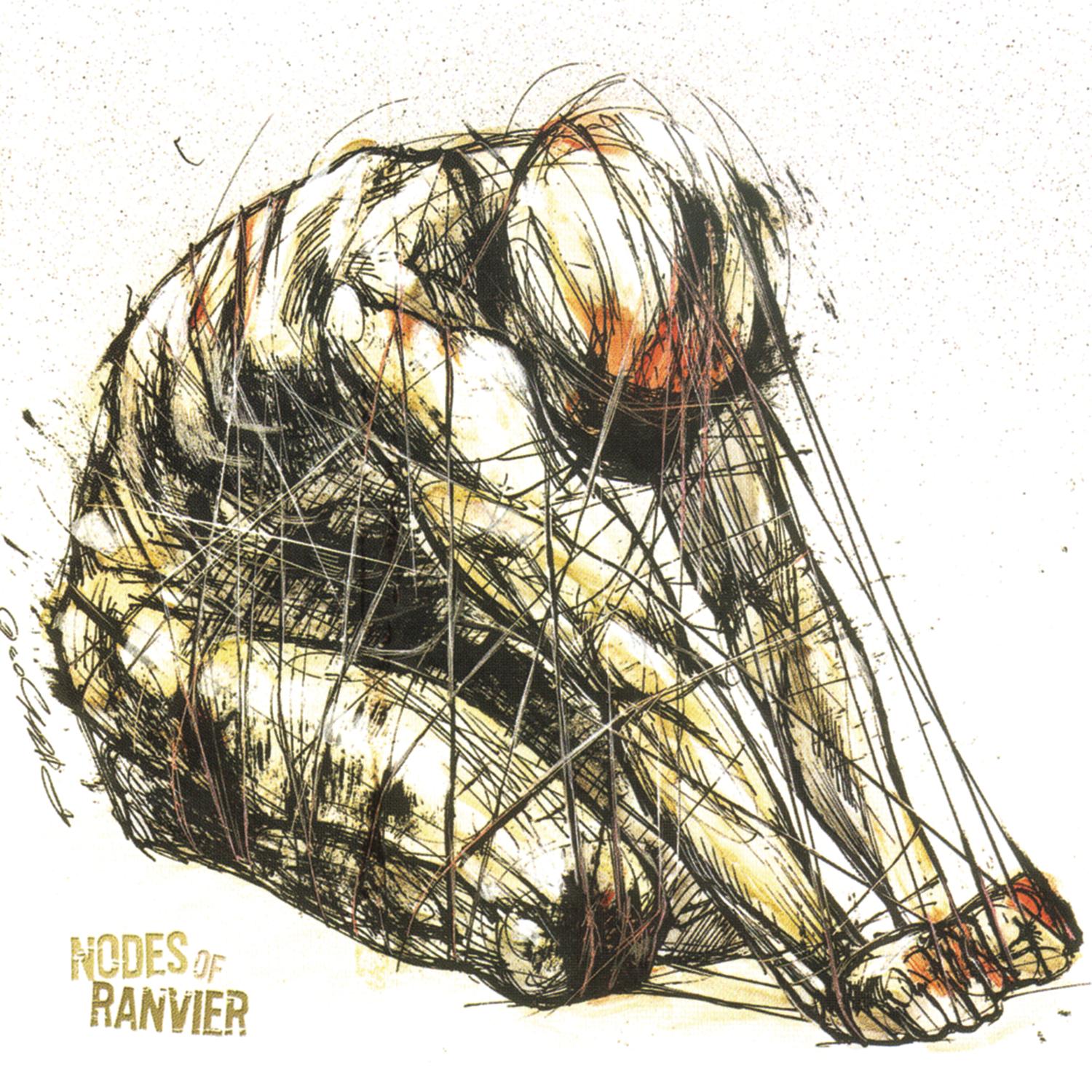 Nodes of Ranvier