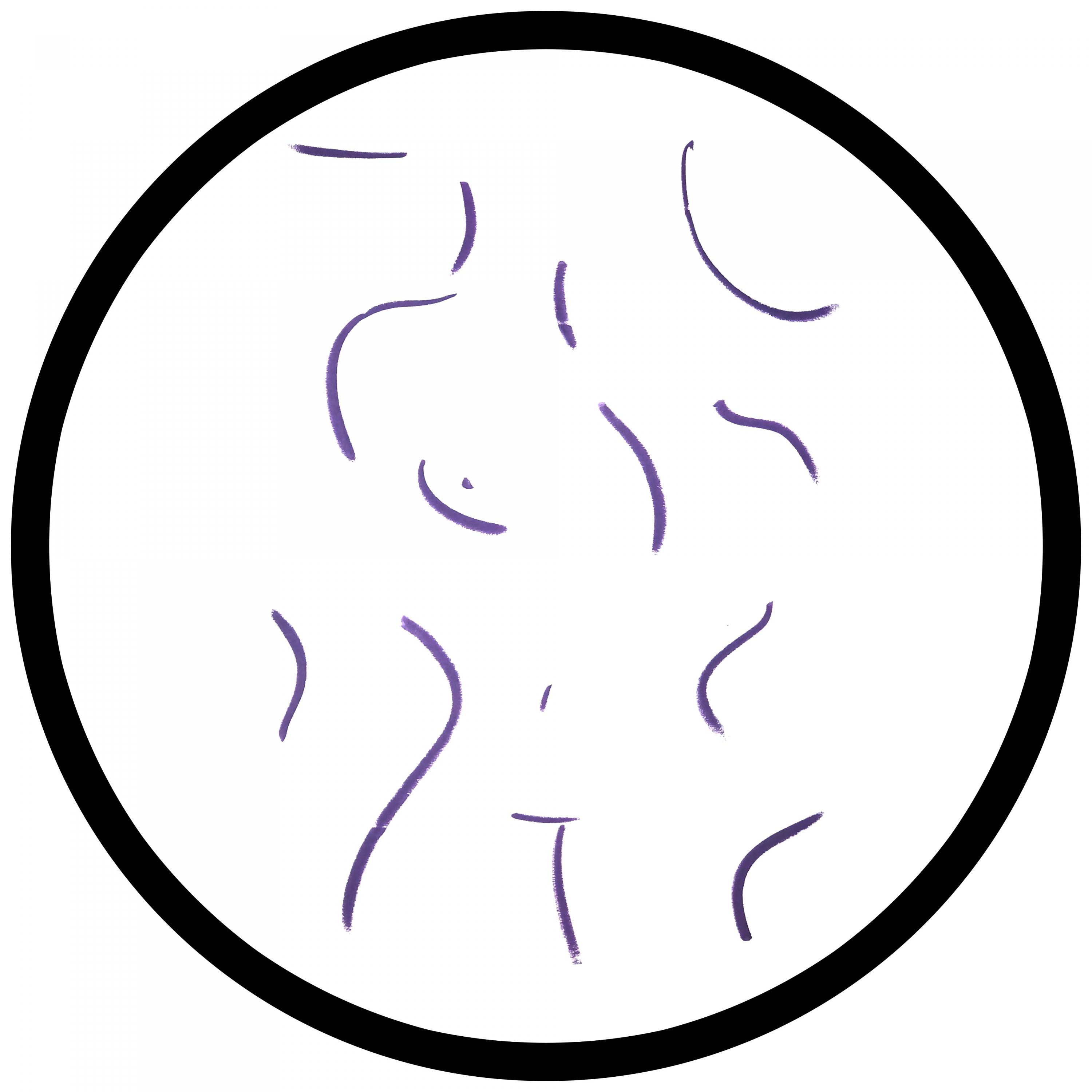 Roll Play (Original Mix)