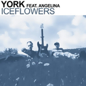 Iceflowers专辑