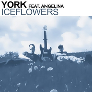 Iceflowers