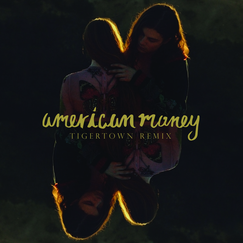 American Money (Tigertown Remix)专辑