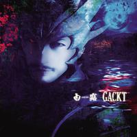 GACKT - 情热のイナズマ(44KHZ,320K,20HZ)+申精