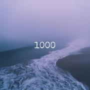 1000（prod.furyl)