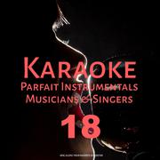 Karaoke Parfait Instrumentals Musicians & Singers, Vol. 18专辑