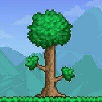 Terraria