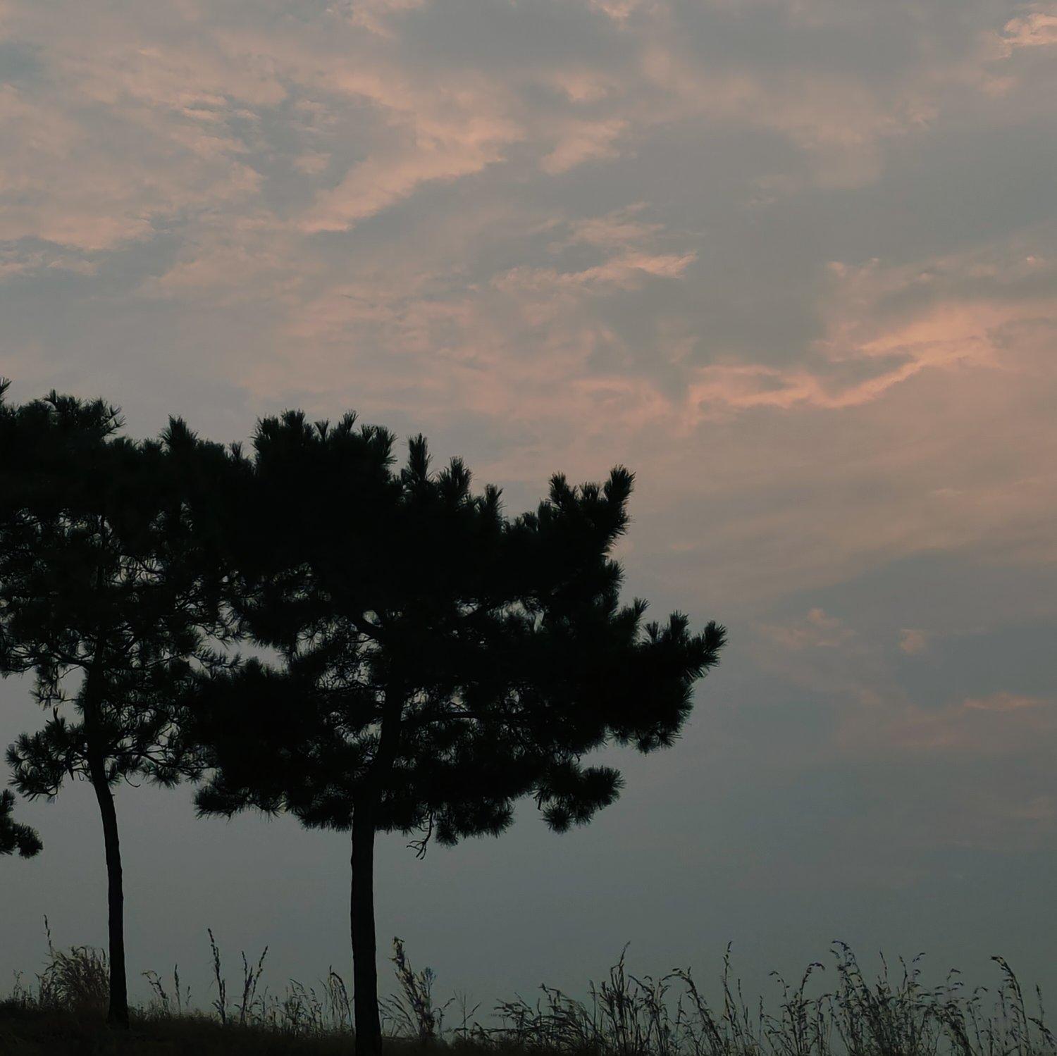 太上老君说常清静经完整版