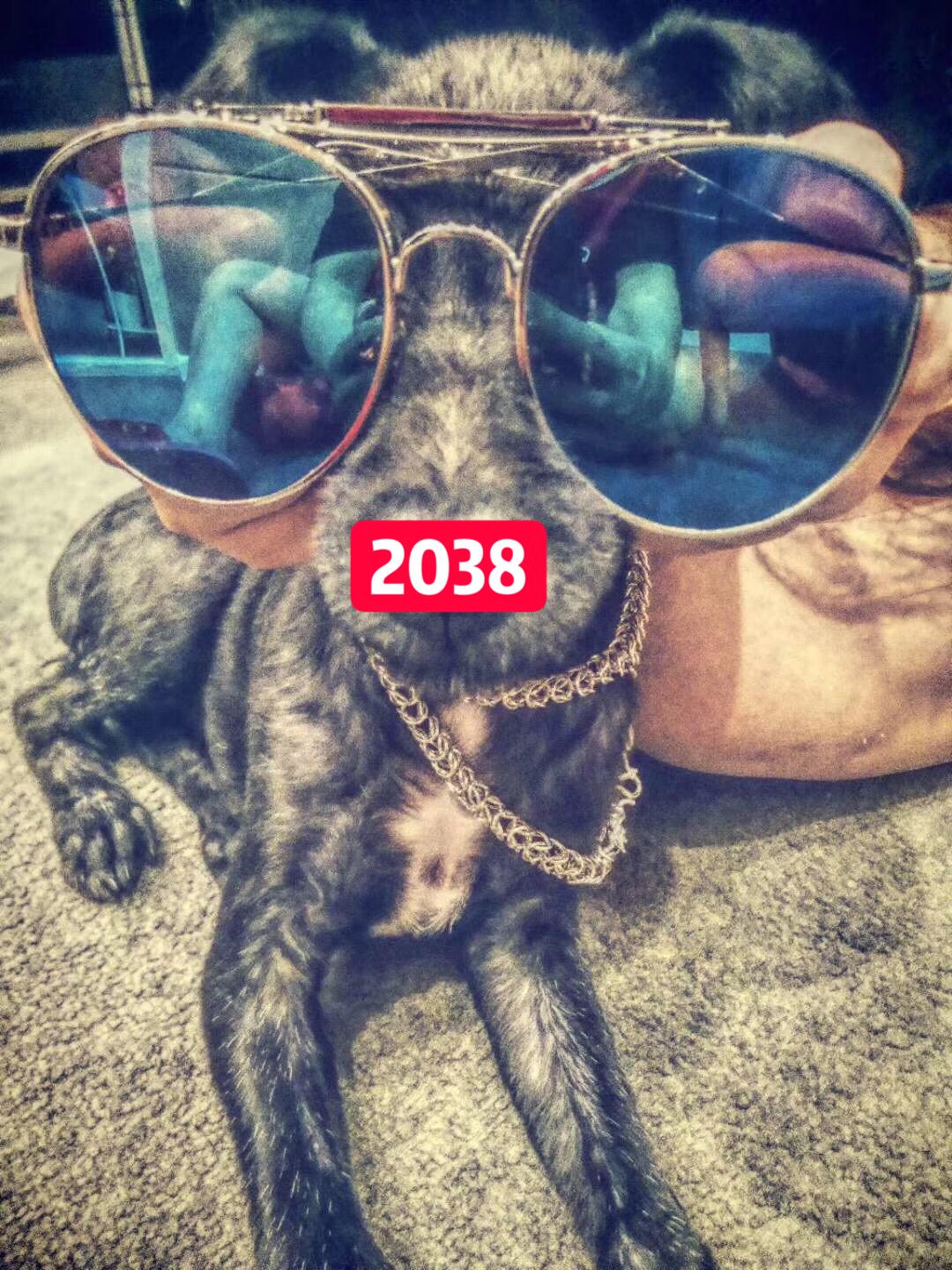 2038专辑