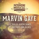 Les Idoles Américaines Du Rhythm and Blues: Marvin Gaye, Vol. 1专辑