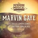 Les Idoles Américaines Du Rhythm and Blues: Marvin Gaye, Vol. 1