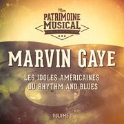 Les Idoles Américaines Du Rhythm and Blues: Marvin Gaye, Vol. 1