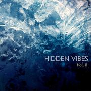 Hidden Vibes Vol. 6专辑
