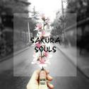 Sakura Souls专辑