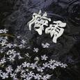 梅雨