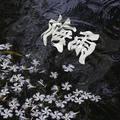 梅雨