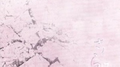 Sakura专辑