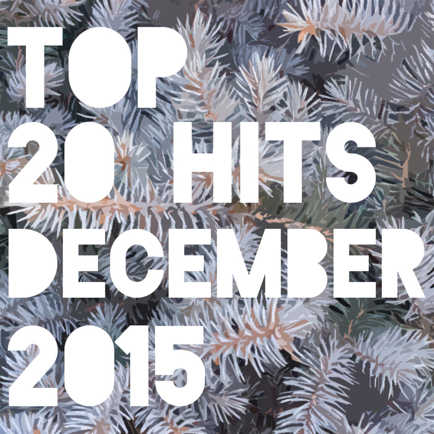 Top 20 Hits December 2015专辑