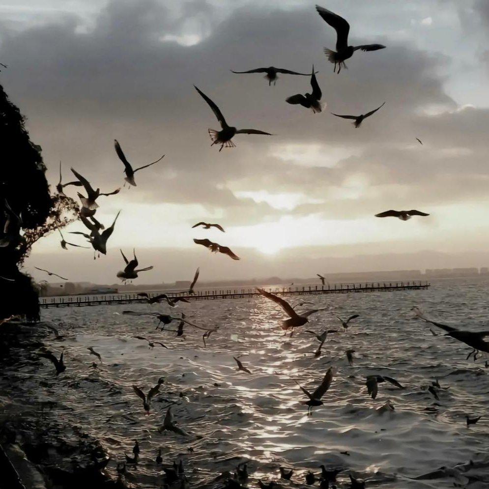 【民谣】碌碌谋生 谋其所爱 | 在线播放 | 网易云音乐