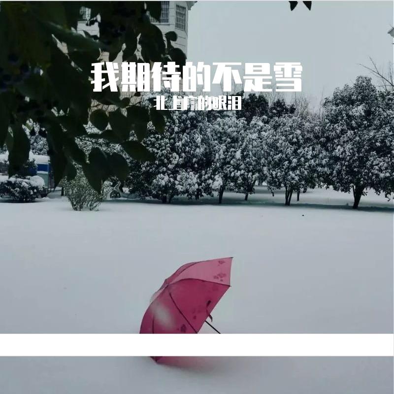 我期待的不是雪