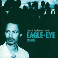 Are You Still Having Fun - Eagle Eye Cherry