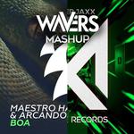 Boa Parnassia (Wavers Mashup)专辑