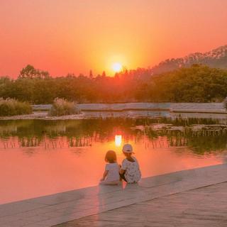 当爱你成了习惯