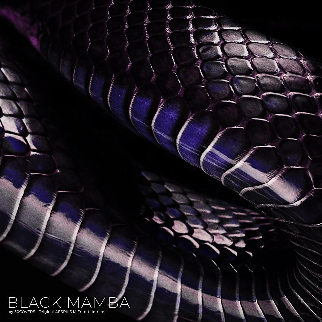 Black Mamba