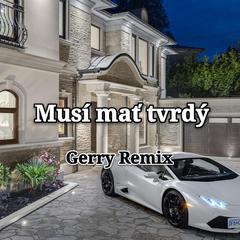 群星-Musí mať tvrdý（Gerry remix）