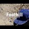 Foothill (prod. SyphonBeatz)专辑