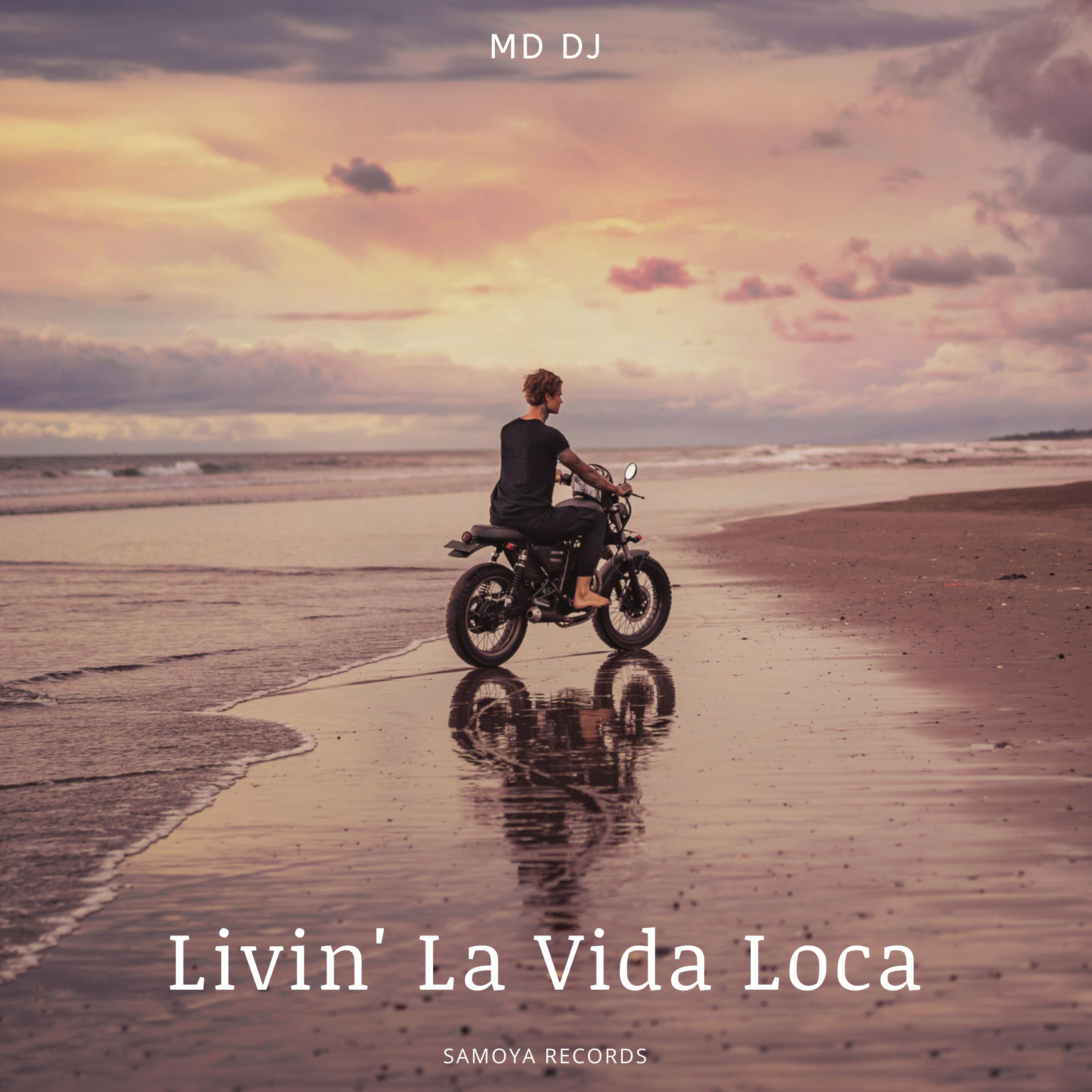 MD DJ - Livin' La Vida Loca