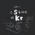 skr（对吴老师的敬意）