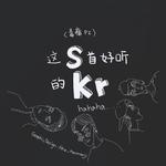 skr（对吴老师的敬意）专辑