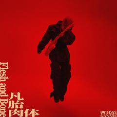 凡胎肉体